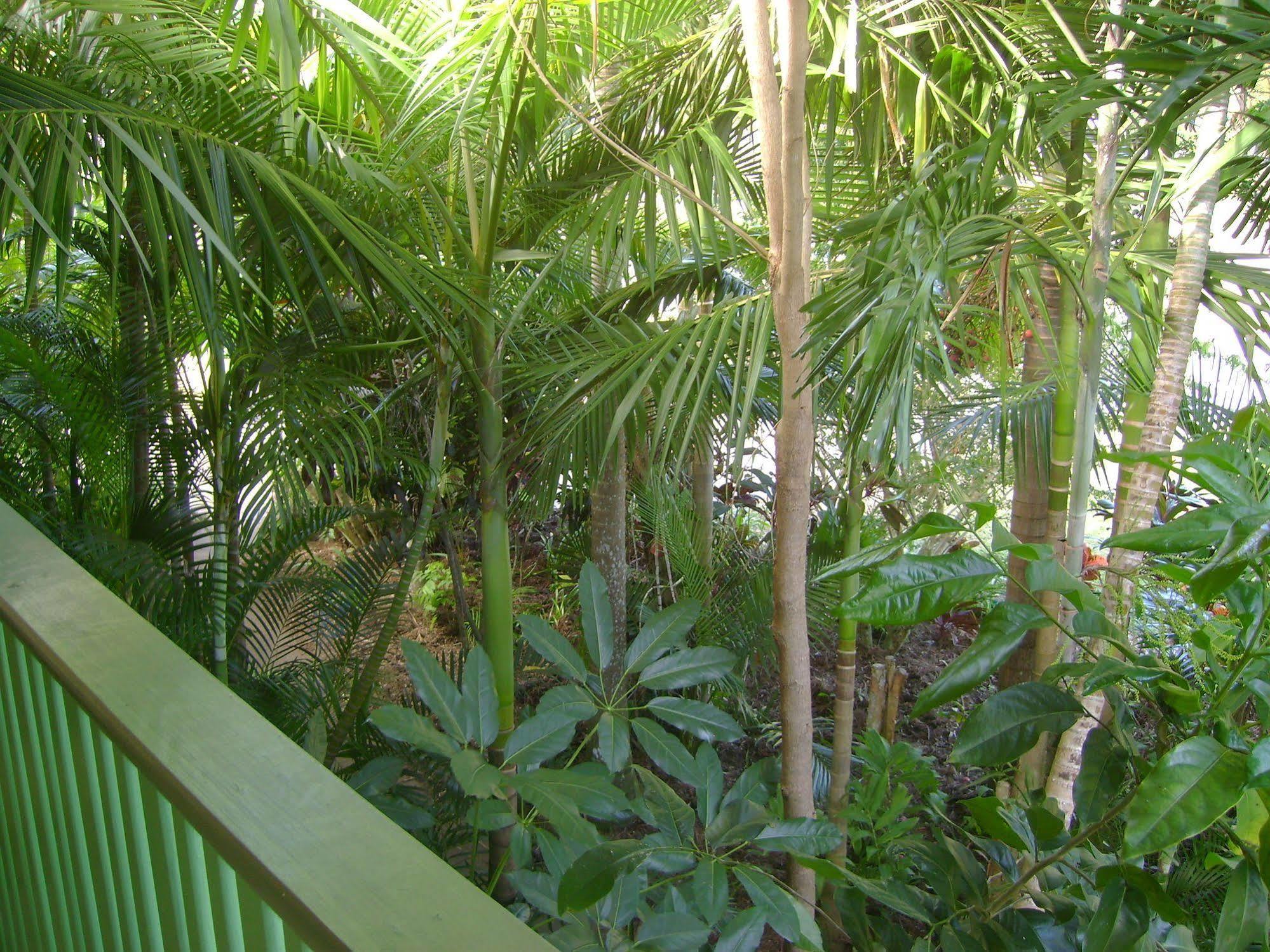 Tropical Nites Holiday Townhouses Πορτ Ντάγκλας Εξωτερικό φωτογραφία